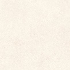 Padova Bone 60cm x 60cm Wall and Floor Tile