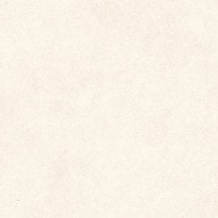 Padova Bone 60cm x 60cm Wall and Floor Tile
