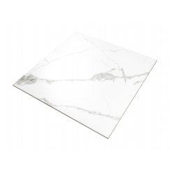 Pamena White 60cm x 60cm Wall and Floor Tile