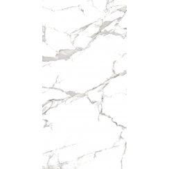 Pearl Satvario 80cm x 160cm Wall & Floor Tile
