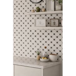 Plaka Star 20cm x 20cm Wall and Floor Tile