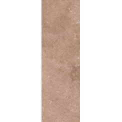 Porto Brick Rust 6cm x 25cm Wall and Floor Tile