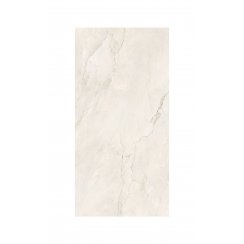 Premium Marble White 60cm x 120cm Wall and Floor Tile