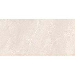 Reshape Snow Rectified 60cm x 120cm Wall and Floor Tile