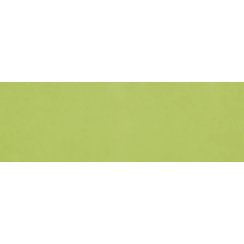 Rhian Verde Gloss 10cm x 30cm Wall Tile