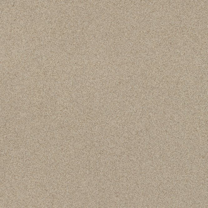 Salt and Pepper Cookie 60cm x 60cm Wall and Floor Tile