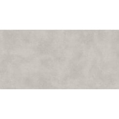Stamford Light Grey Matt 59.8cm x 119.8cm Wall and Floor Tile
