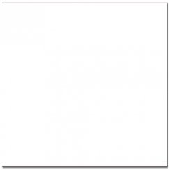 Stark Polished Porcelain 60xm x 60cm Floor Tile