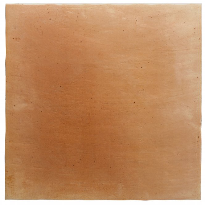 Terracotta Fuego Antic 45cm x 45cm Wall and Floor Tile