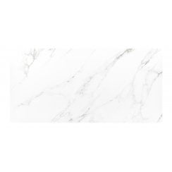 Vanesso Matt 30cm x 60cm Wall Tile