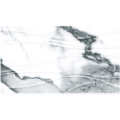 Windsor Silver Decor 25cm x 50cm Wall Tile